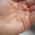 Kosmetika pro děti Alverde Baby šampon a mycí emulze - obrázek 3