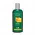 šampony Logona šampon pro zvětšení objemu pivo a med - obrázek 1