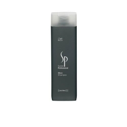 šampony Silver Shampoo - velký obrázek