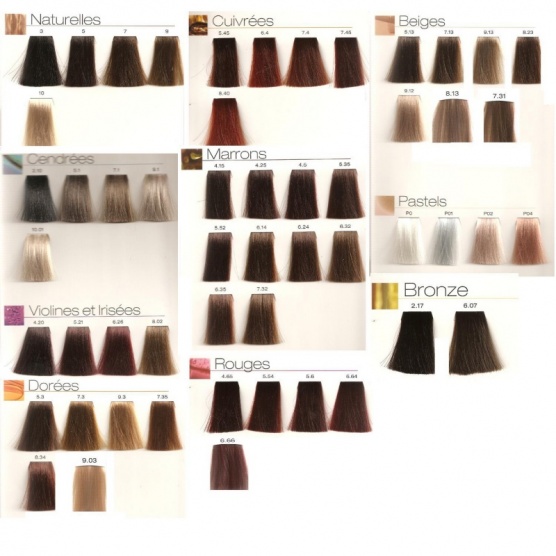 loreal luocolor chart