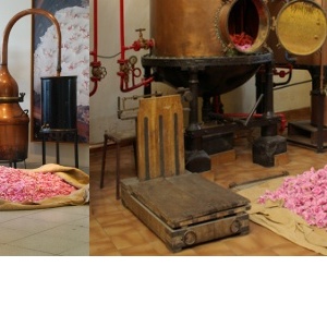 Parfémy a jejich historie včetně Chanel No. 5