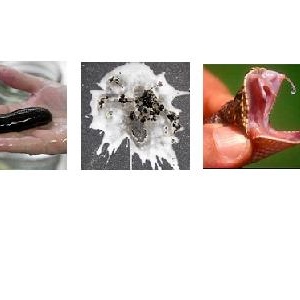 

Netradiční zkrášlující triky celebrit