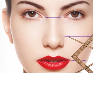 Tajemství krásy a zlatý řez