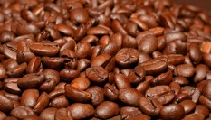 Dlouhotrvající hnědý odstín vlasů podle Jennifer Love Hewitt