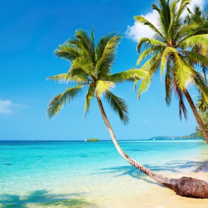 Thajsko turisty láká krásnou přírodou, rušnými ulicemi, neobyčejnou historií a divokou exotikou