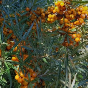 Připravte svou pleť na podzim včas!