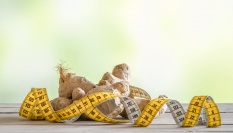 Zázvorem ke štíhlé postavě