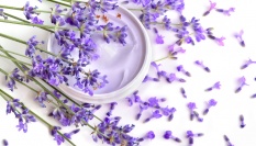 Domácí ochranný balzám na ruce s levandulí