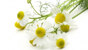 Pleťová voda z heřmánku lékařského