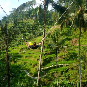 Navštívit či nenavštívit Ubud?