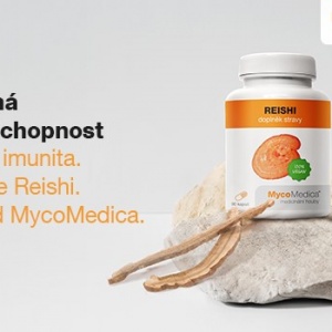 Královská houba Reishi