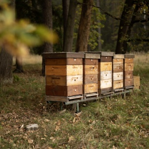 Příběh Regionální potraviny