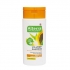 šampony Alterra šampon pro objem bio-Papája & Bio-Bambus - obrázek 1