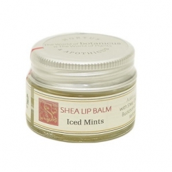 Balzámy na rty balzám na rty s mátou - velký obrázek