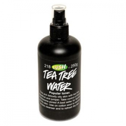 Tonizace Lush Tea Tree Water