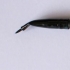 štětce na oči e.l.f. Studio Angled Eyeliner Brush - obrázek 3