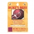Balzámy na rty Burt's Bees Replenishing Lip Balm with Pomegranate Oil - obrázek 3