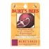 Balzámy na rty Burt's Bees Replenishing Lip Balm with Pomegranate Oil - obrázek 3