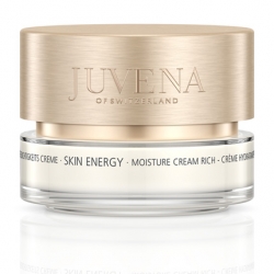 Hydratace Skin Energy Moisture Cream Rich - velký obrázek