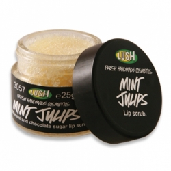 Zatím nezařazené Mint Julips scrub na rty - velký obrázek