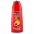 šampony Garnier Fructis Color Resist posilující šampon pro barvené vlasy - obrázek 1