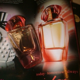 Today Tomorrow Always In Love EDP