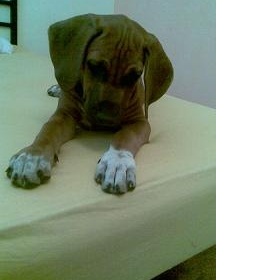 Modelace prsou Lékařský dům MUDr. Aleš Nejedlý - osobní zkušenost