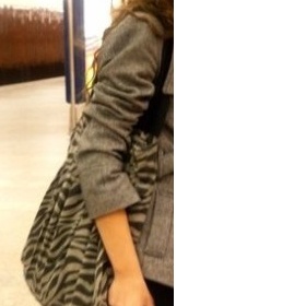 Zebrovaná kabelka- kde sehnat?