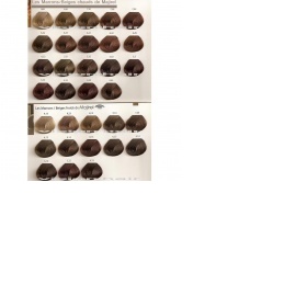 Domácí barvení profi barvami