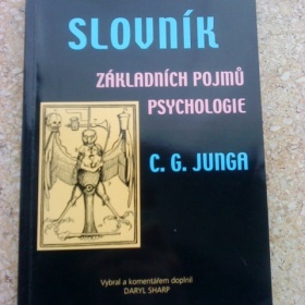 Slovník základních pojmů psychologie C. C. Junga - Daryl Sharp