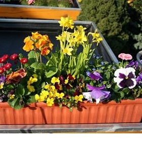 Zkrášlení balkonu