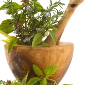 Kde koupit čerstvé bylinky?