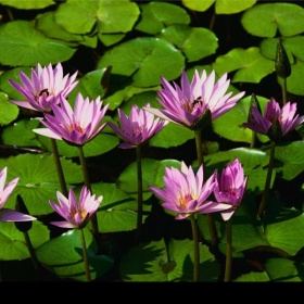 Krém, gel Neostrata