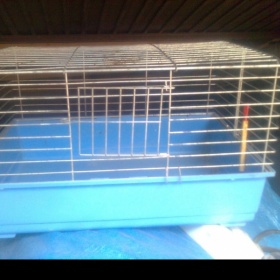 Modrá klec na králíka