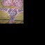 Růžový tygrovaný komplet - foto č. 2