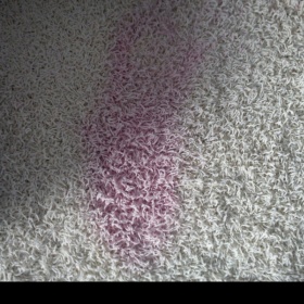 Jak vyčistit skvrnu z bílého koberce?