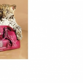 Podzimní kolekce 2011 kabelek Guess