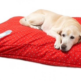 Červený pelech Bird on A Fire pro středně velkého psa( - foto č. 1