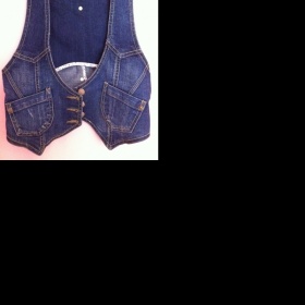 Modrá vestička /CA