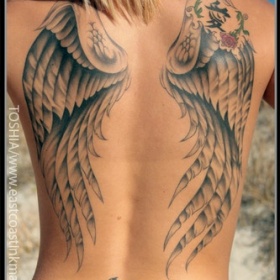 Oblečení s motivem křídel