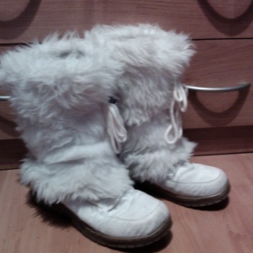 Krémové chlupaté sněhule