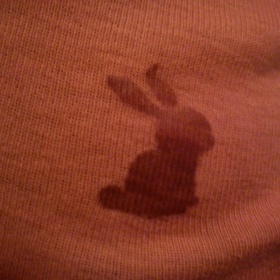 Lososové tričko, Tally Wejl