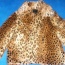 Leopardí kožíšek do pasu - foto č. 2