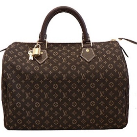 LV-Speedy 30 Mini Lin