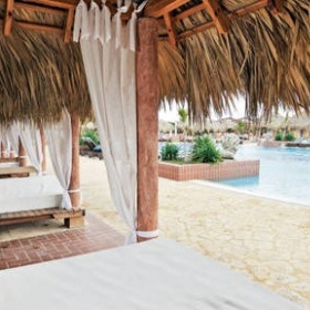 Reality na Jojce a Primě, Paradise hotel