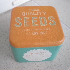 Pánské hodinky Fossil CH2565