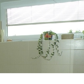 Akú dekoráciu na okno do kúpeľne?