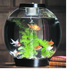 Akvárium biorb