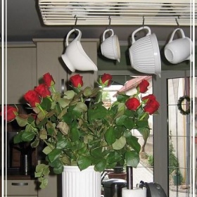 Závěsná police od stropu do kuchyně