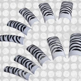 Zebrované tipy z Aukra